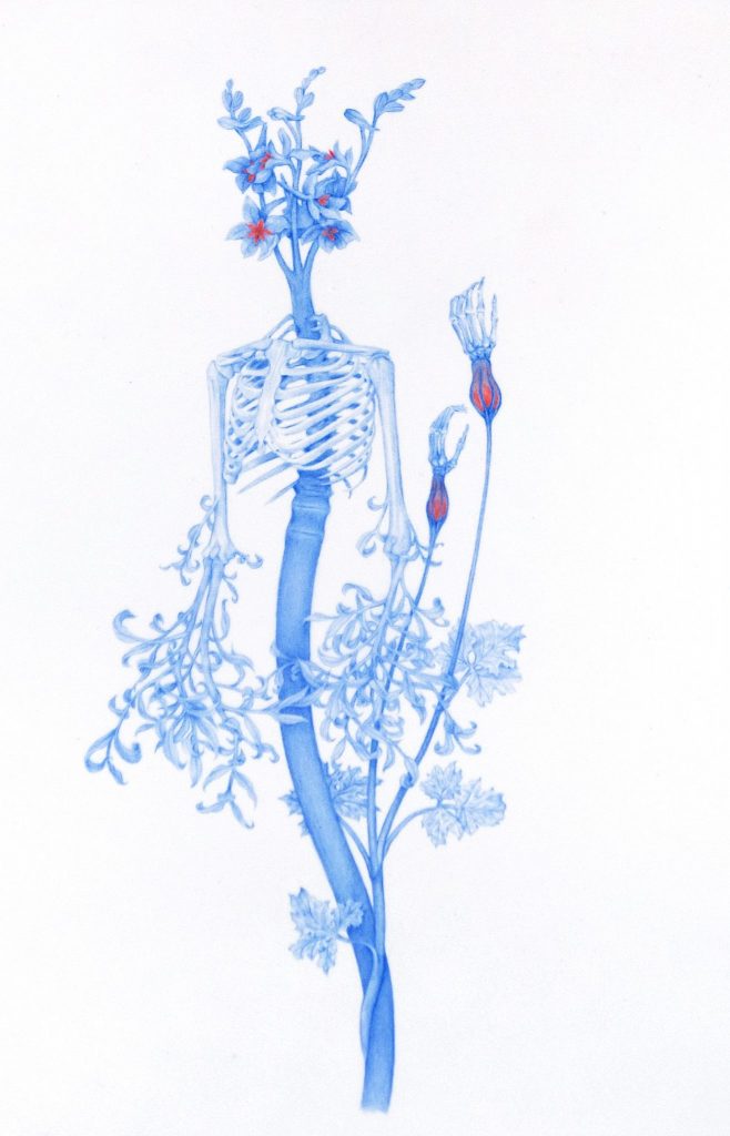 Two Flowers from the Bone Garden