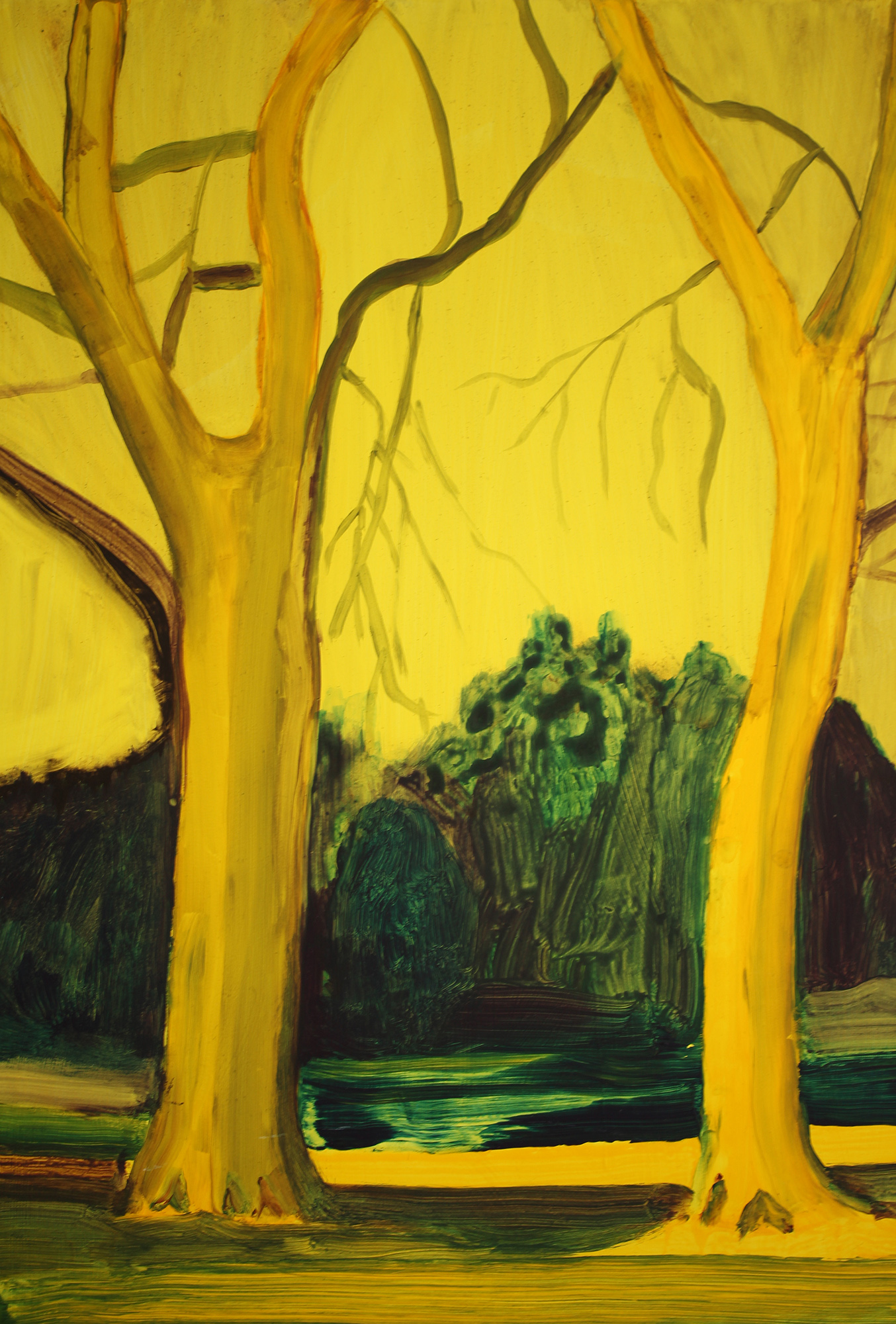 Kate Belton Yellow Trees